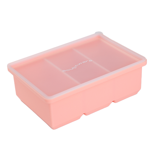 Saucy & Savory Freezing Tray with Lid